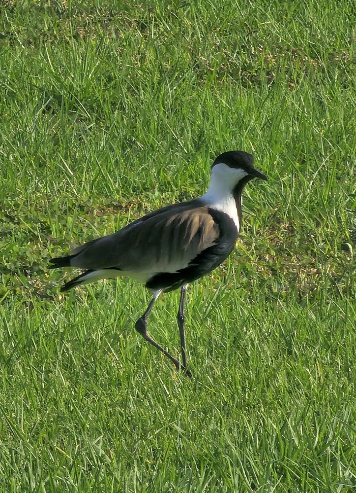 Photograph by Oksana Podgorodetska