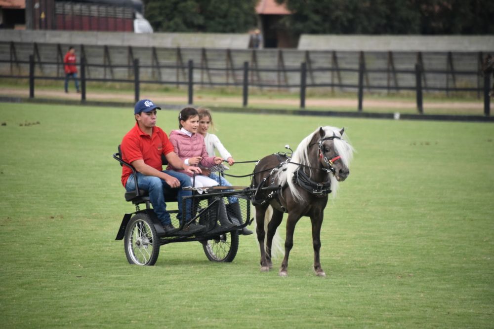 Фотография автора Camilo Martinez