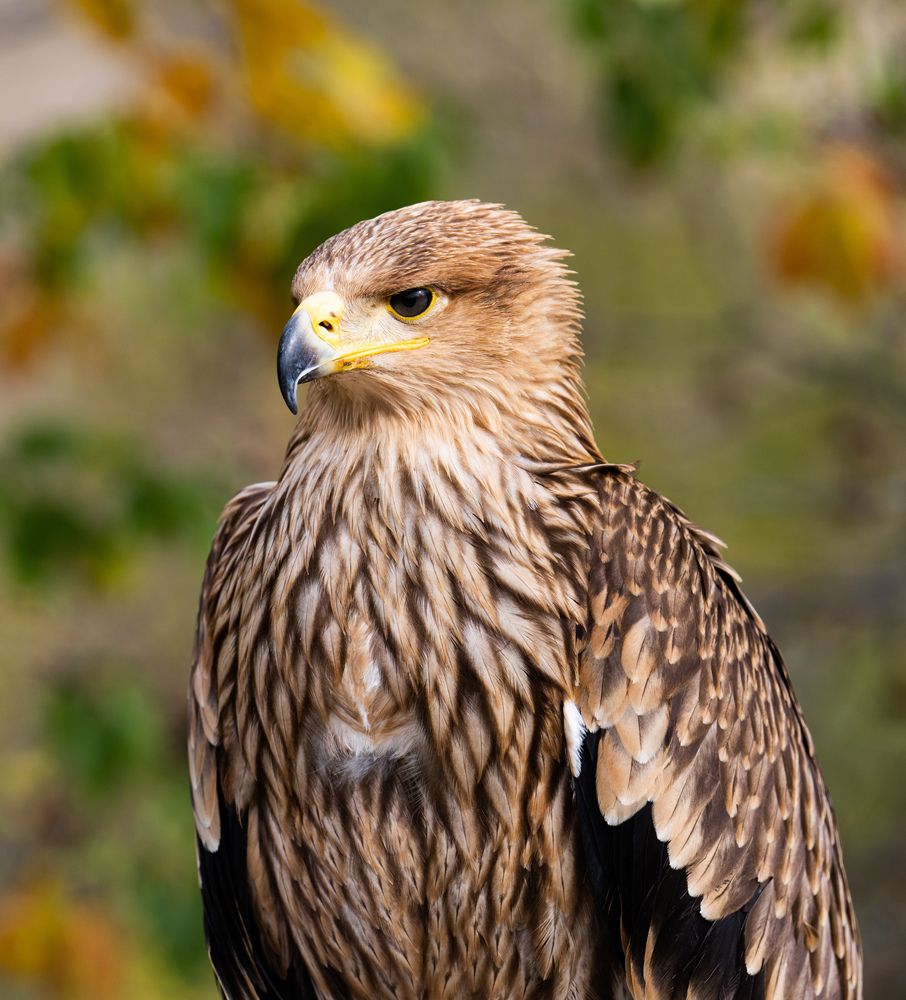 Photograph by Константин Яковлев