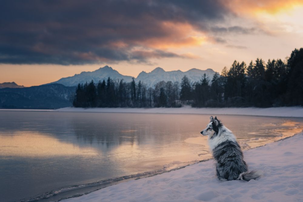 Photograph by Daniela Schmid
