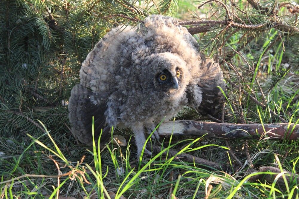 Photograph by Любовь Войводич