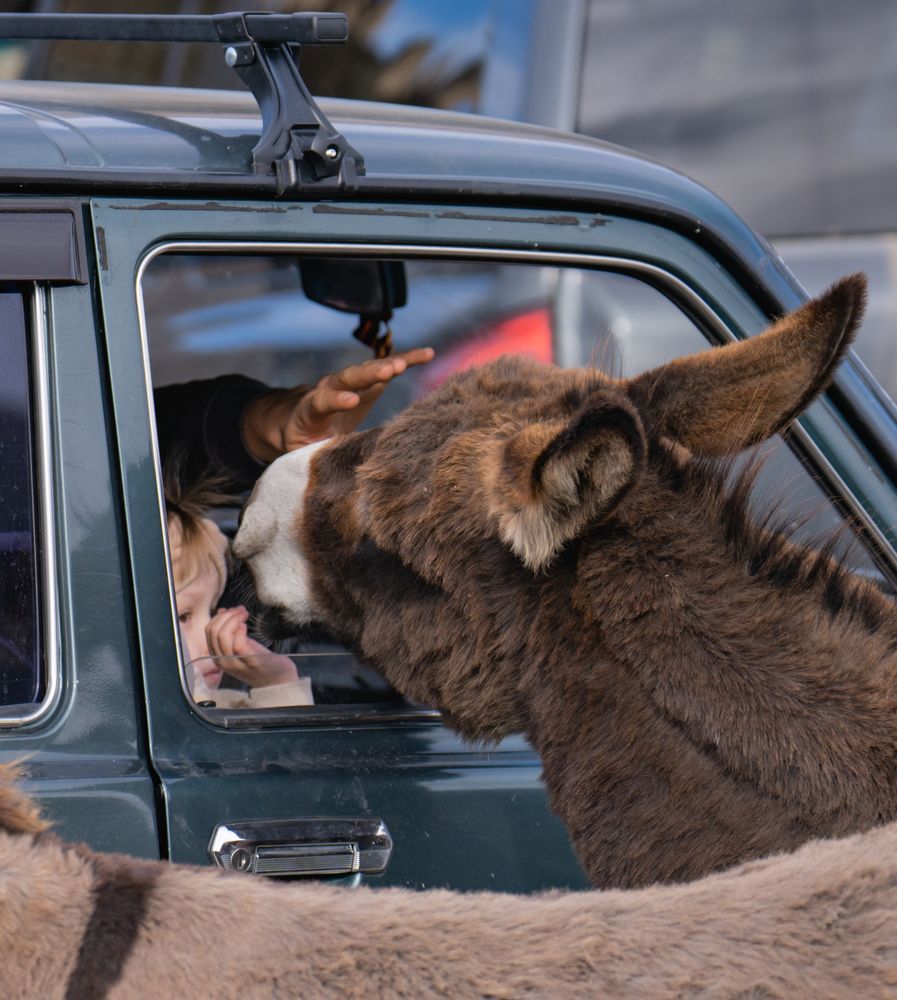 Photograph by Константин Яковлев