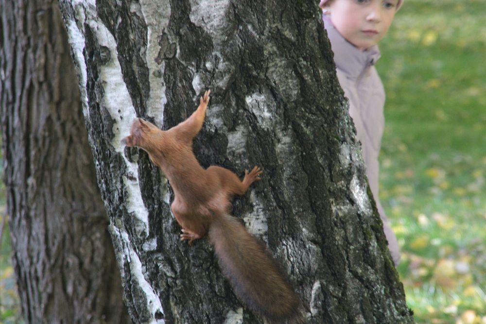 Photograph by Лев Розенберг