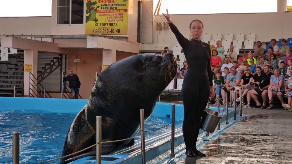 Photograph by Степан Макрушин