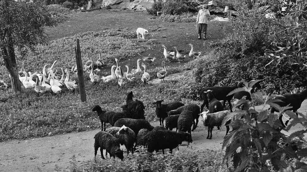 Photograph by Степан Макрушин