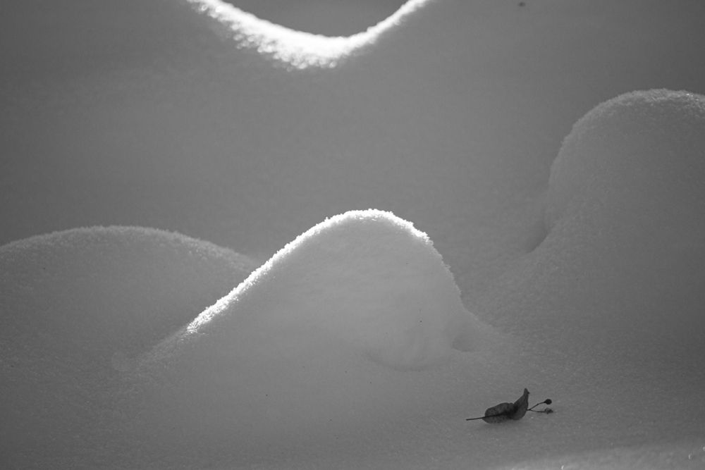 Photograph by Чудинин Дмитрий