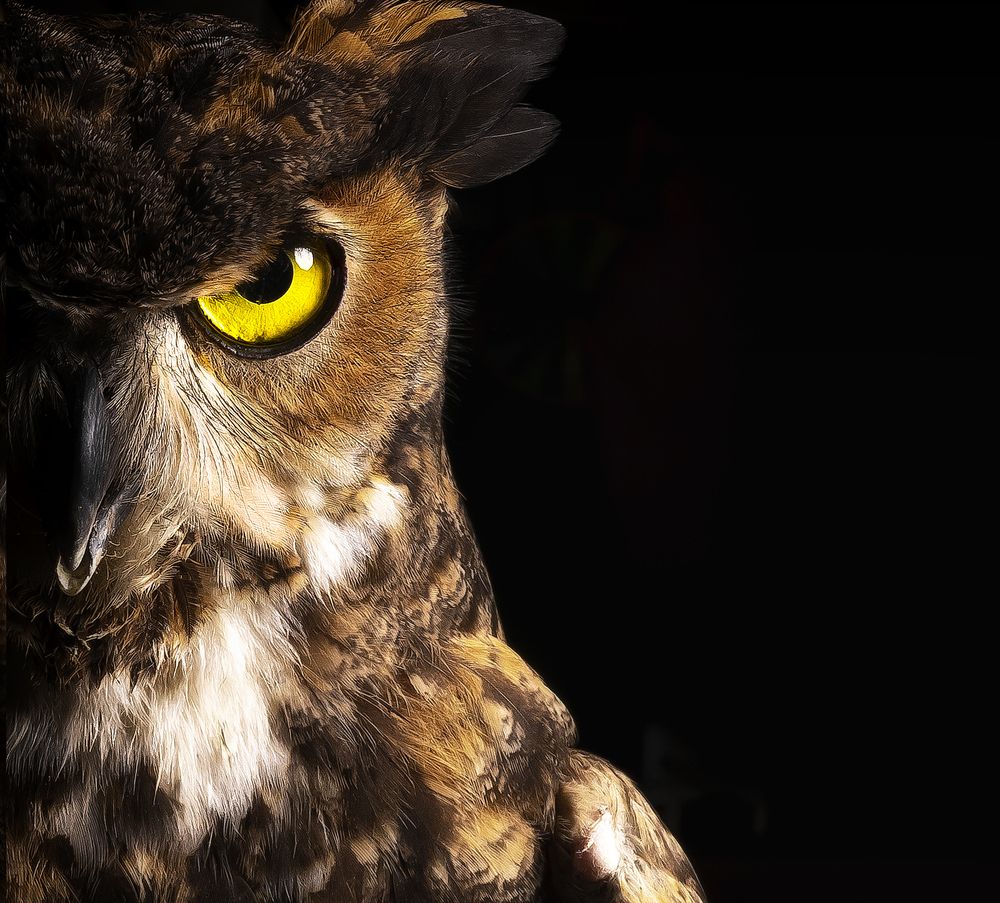 Фотография автора Angel IUS-PHO