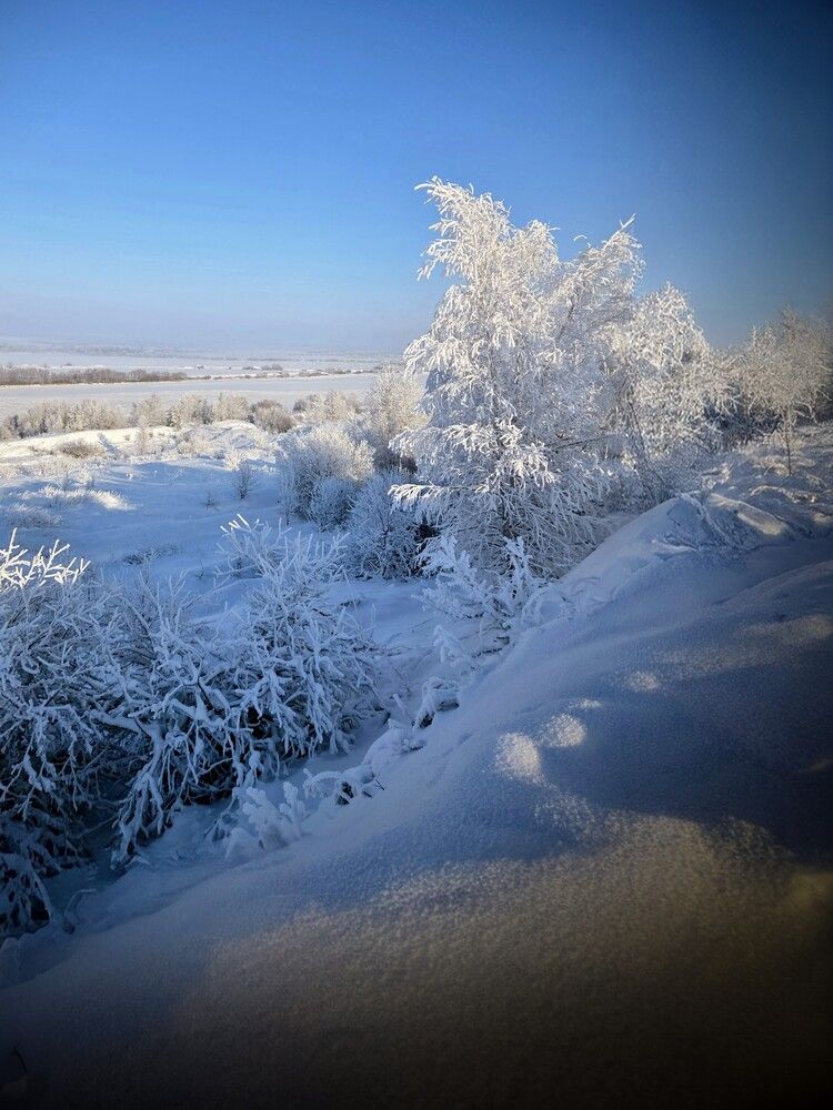Photograph by Дарья Булавина
