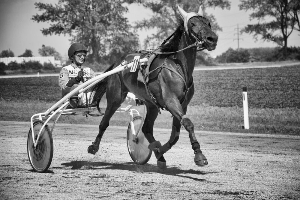 Racing Through the Dust