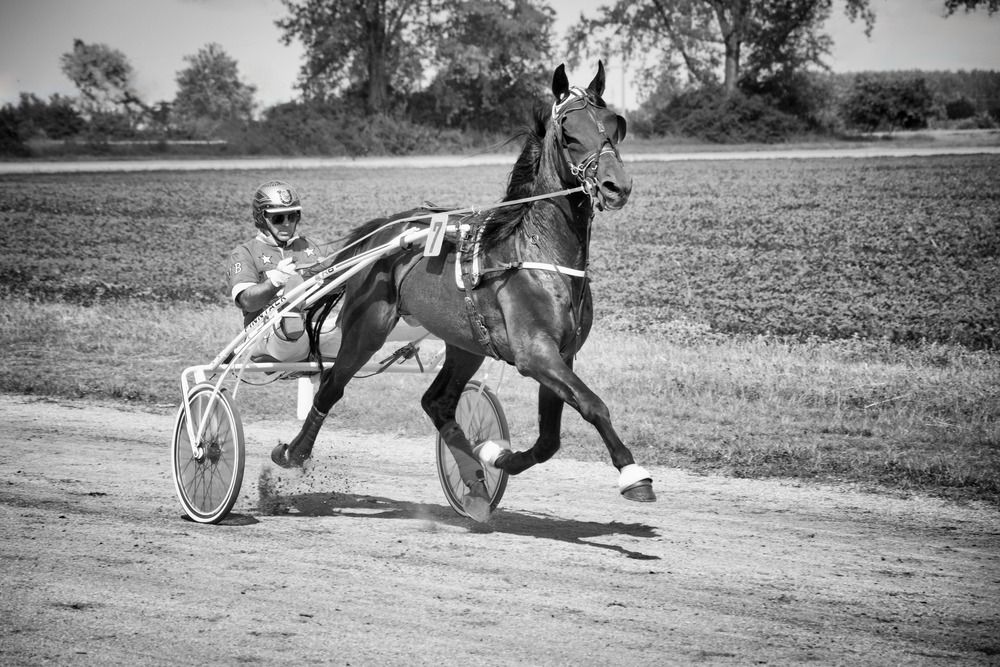 Racing Through the Dust
