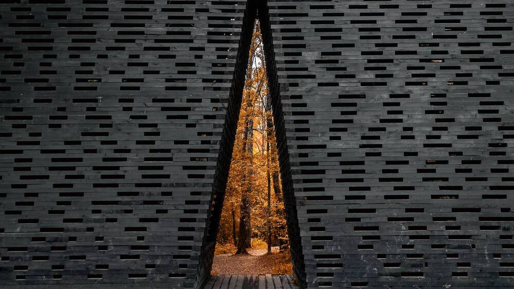 Вход в осень