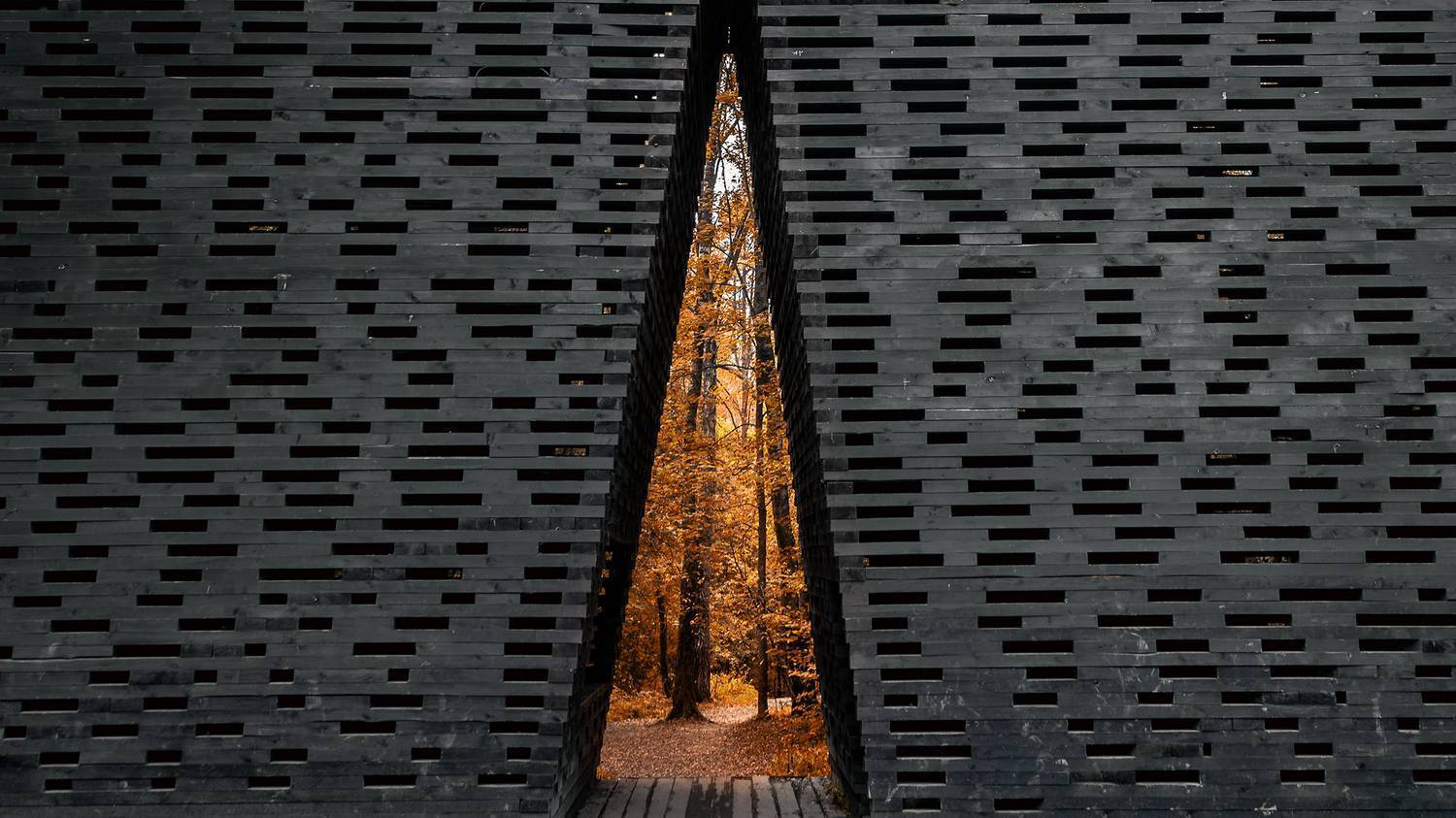 Вход в осень