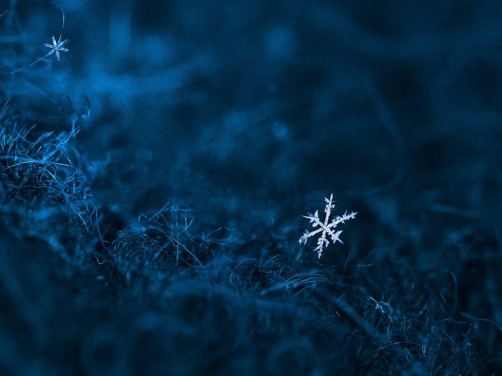 Photograph by Сергей Белокуров