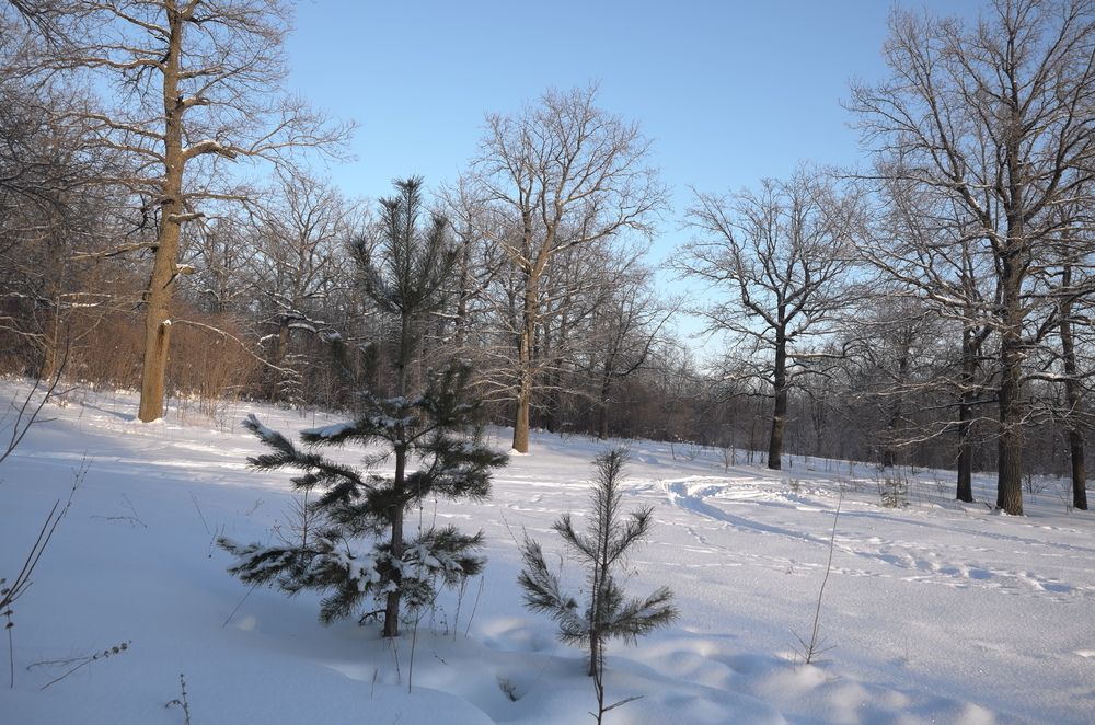 Photograph by Александр Кизим