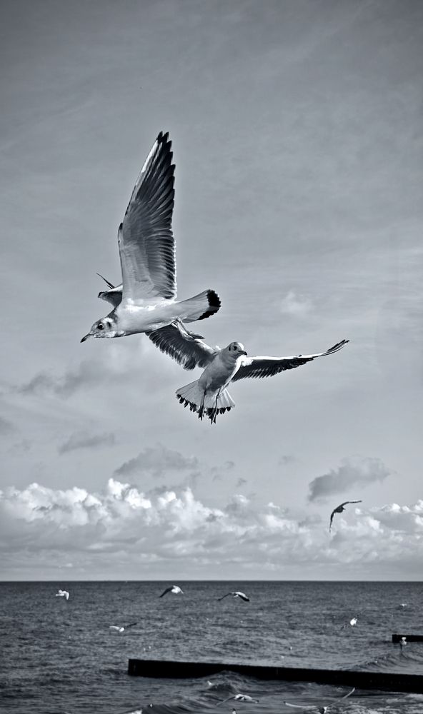 Photograph by Ekaterina Sapezhinskaya