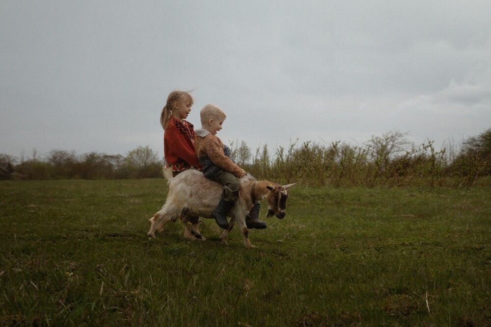 Photograph by Анастасия Павлик