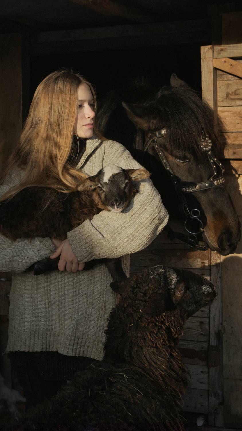 Фотография #13137118