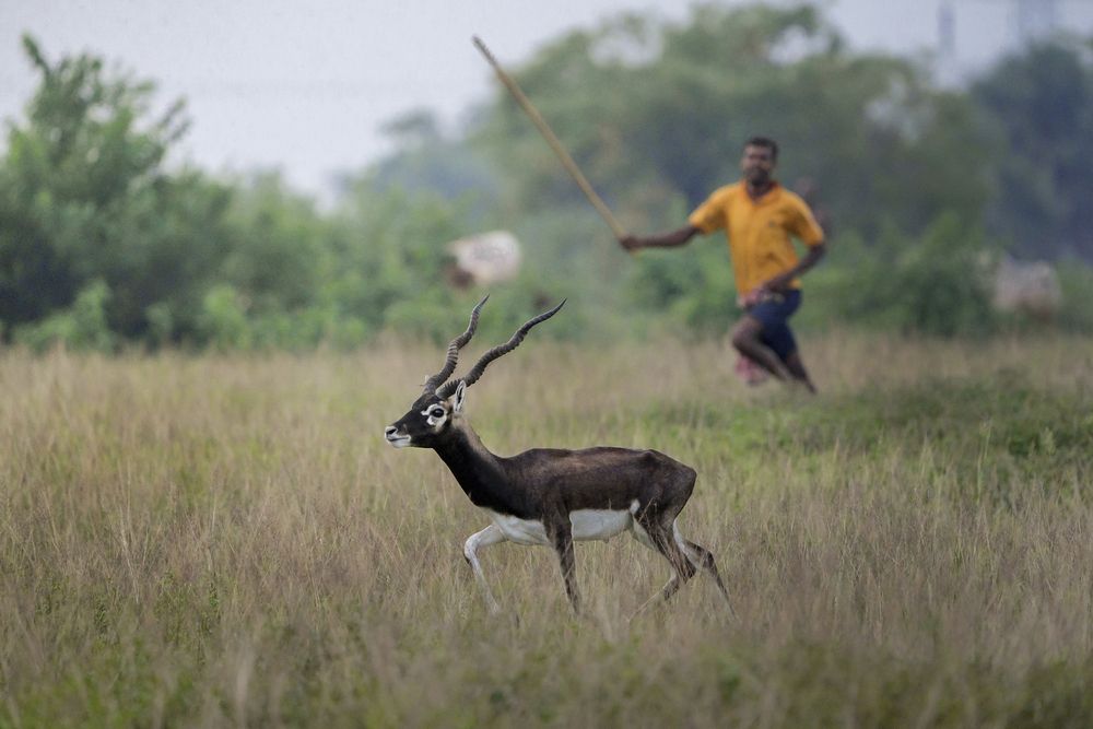 Фотография автора Banhisikha
