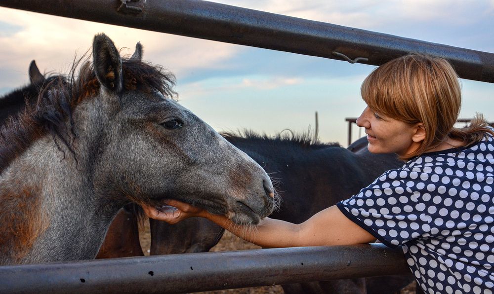 Photograph by Эд Голиков