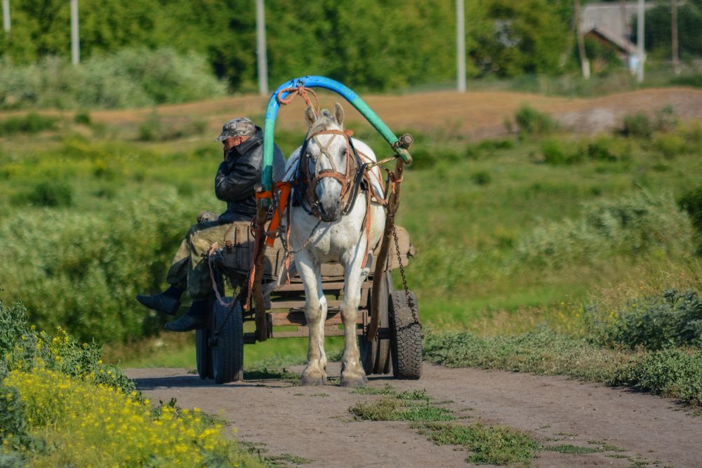 Photograph by Эд Голиков