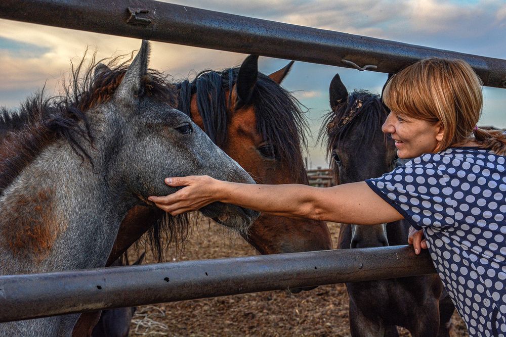 Photograph by Эд Голиков