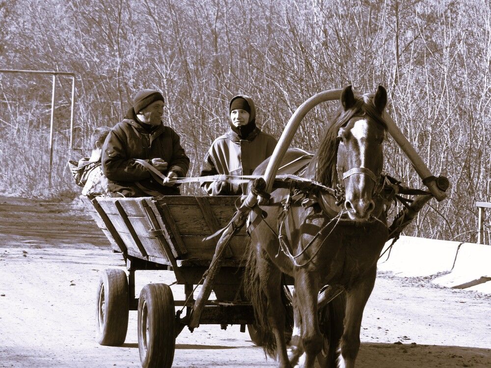 Photograph by Лариса Басова