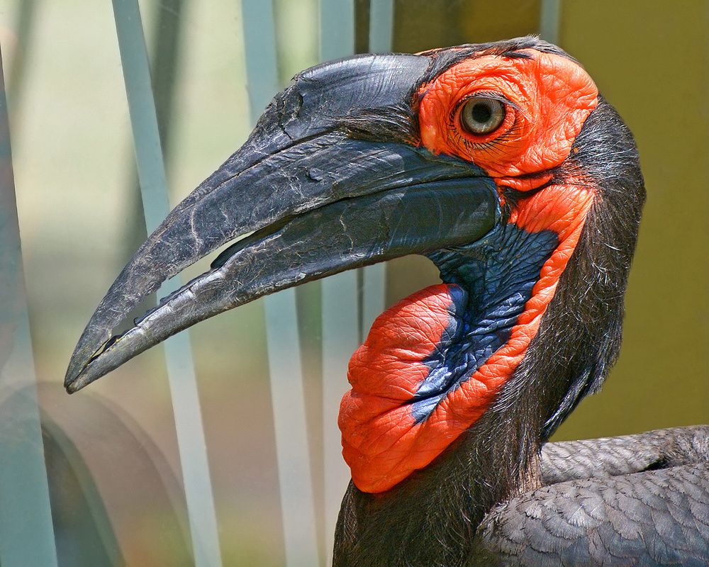 Фотография автора Александр Каплан