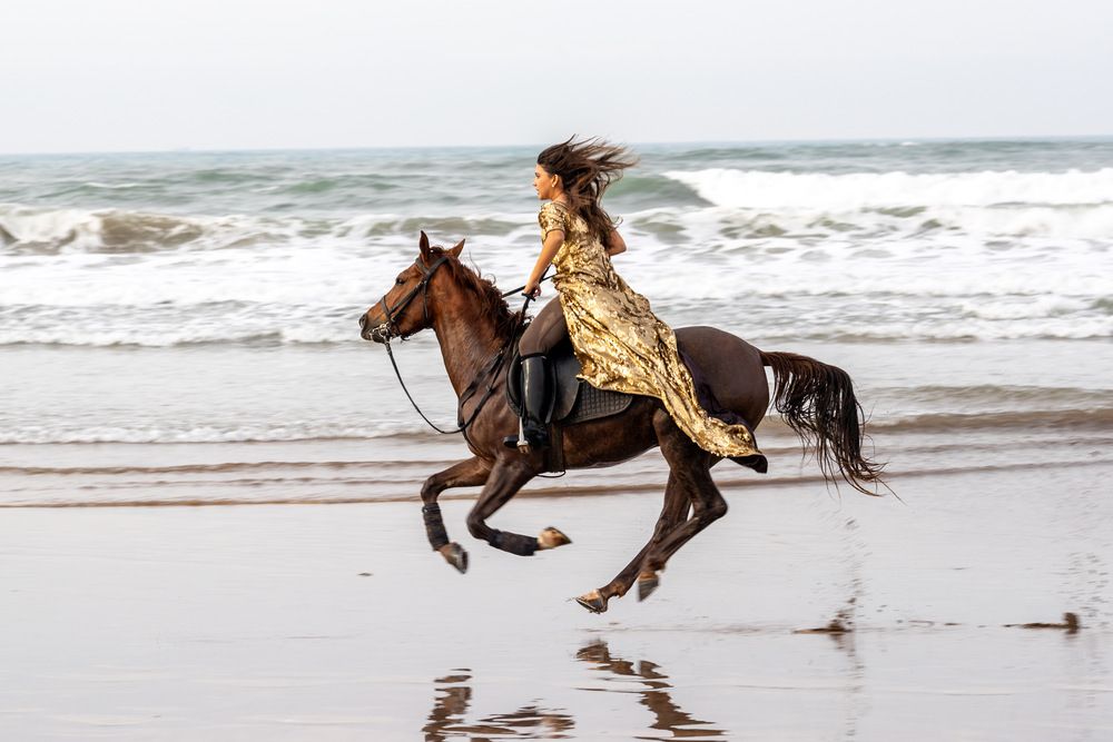 Promenade Cavalière.