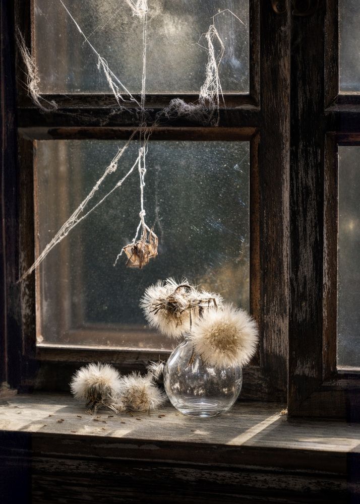 The Silent Conversation Between Time and Life