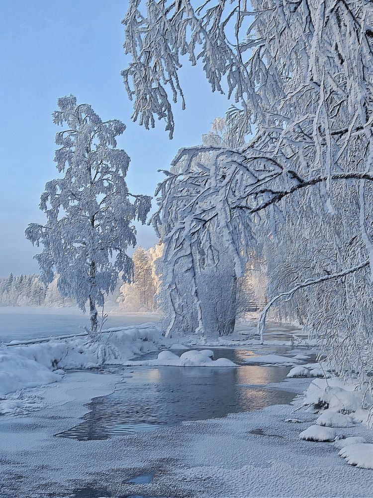 Фотография автора OLga Piirainen