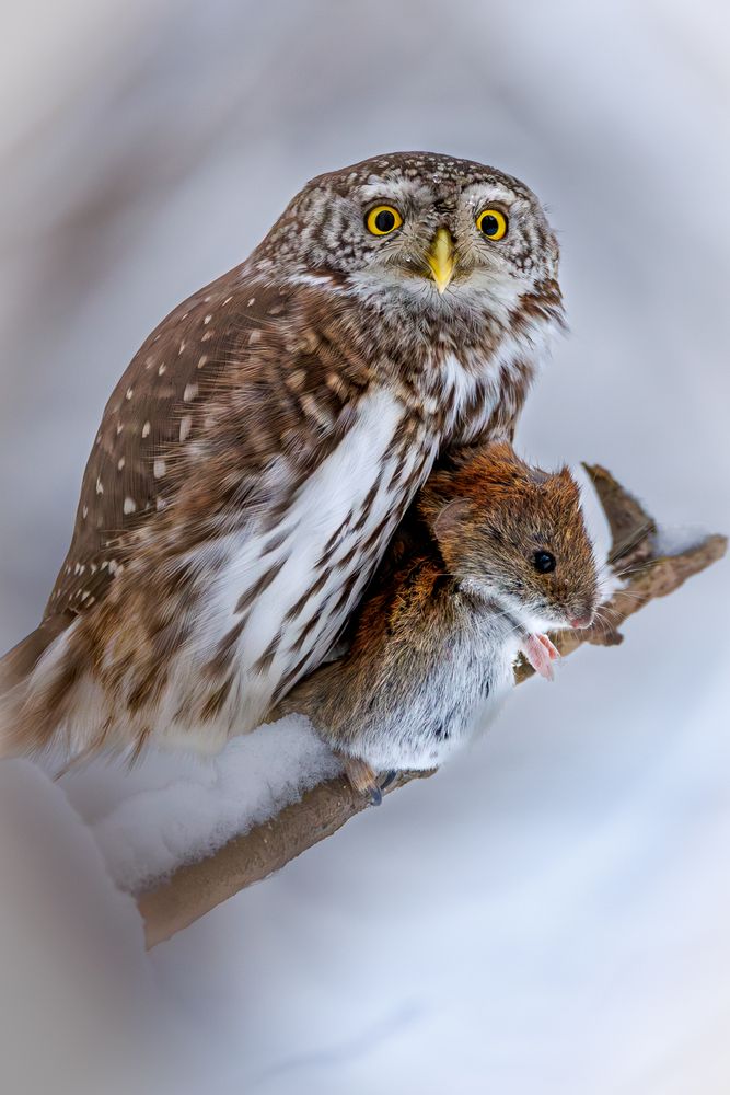 Photograph by Вера Машина