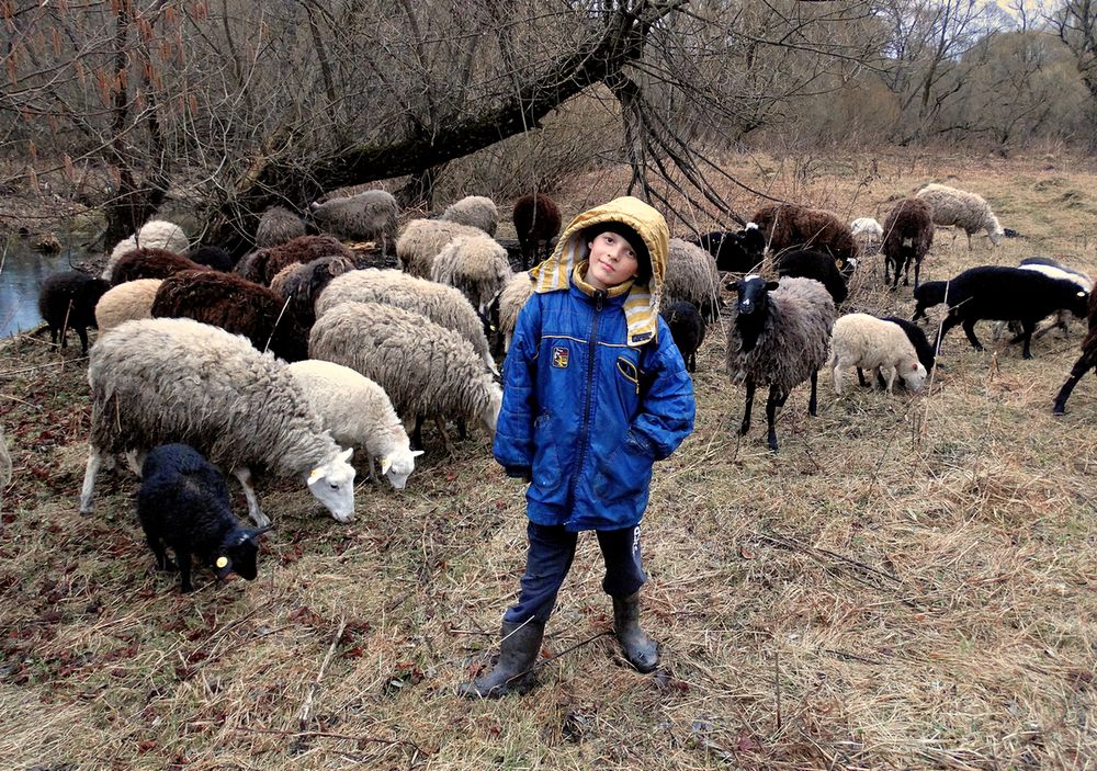 Мальчик-пастушок