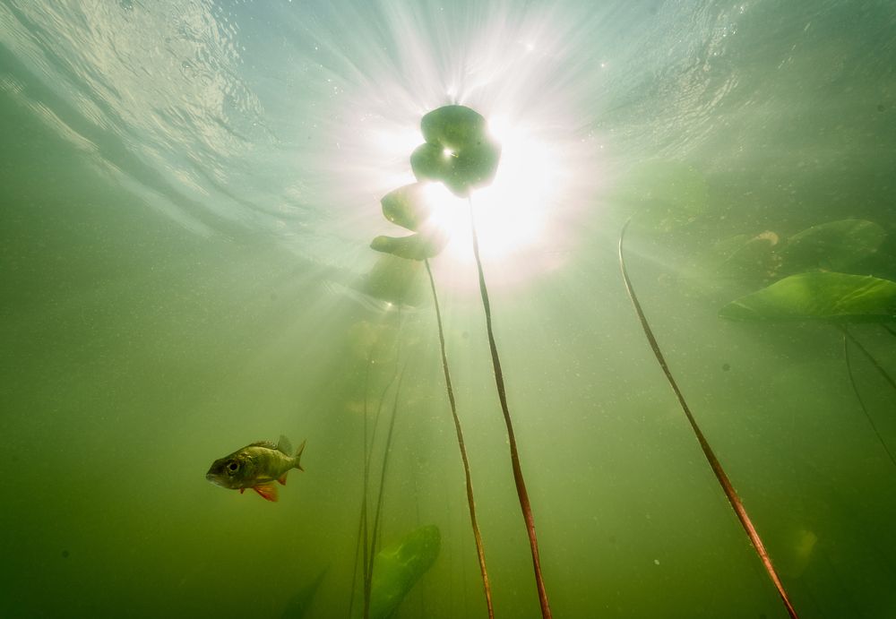 Photograph by Алексей Миролюбов
