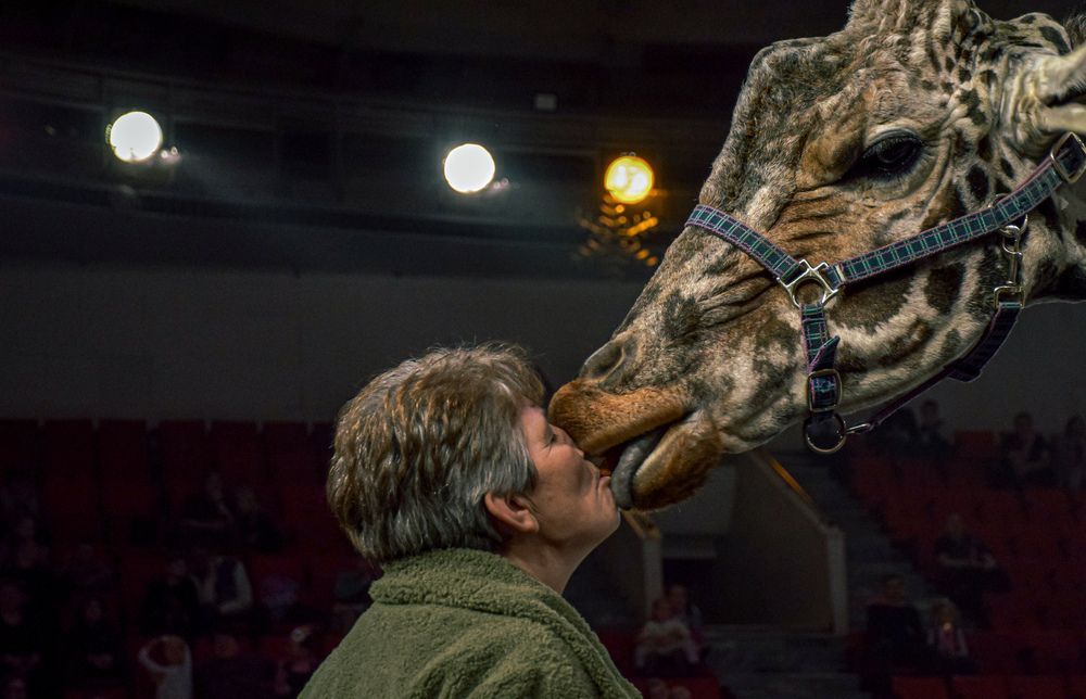 Photograph by Андрей Куракин