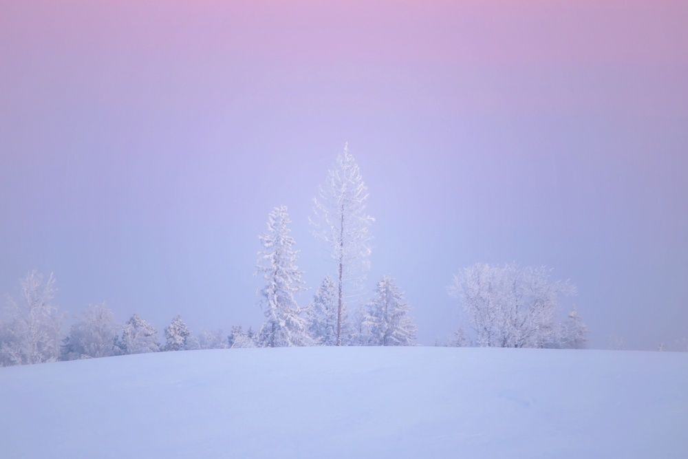 Photograph by Leanid Kulpo