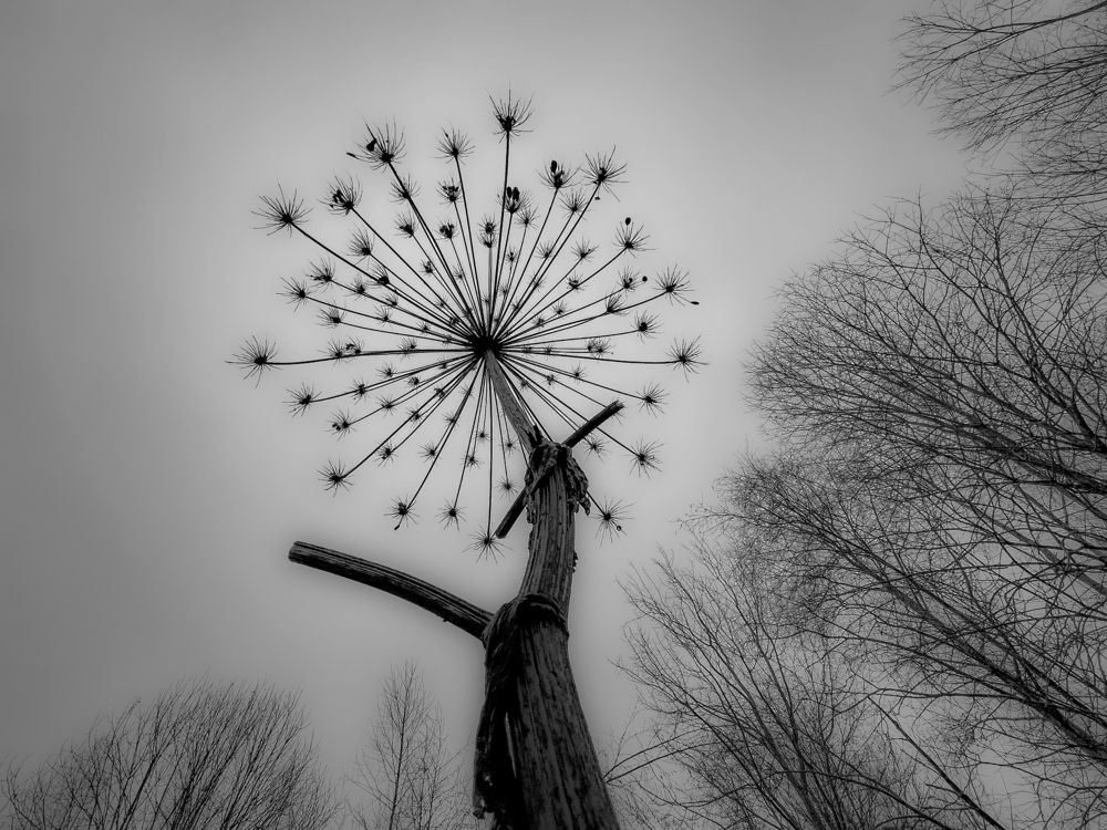 Photograph by Елена Данченко