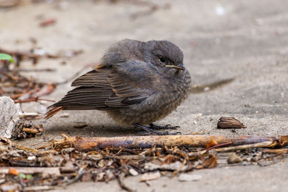 Photograph by Сергей Старых