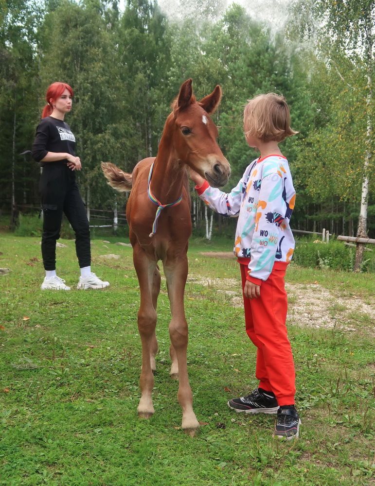 Photograph by Нина