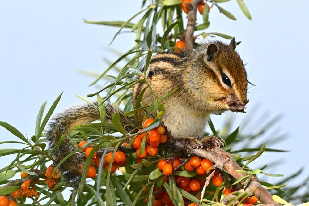 Photograph by Анатолий Каминский