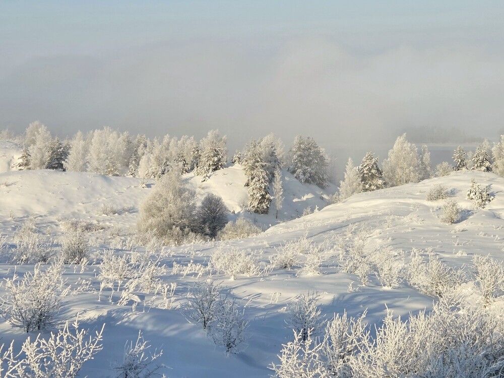 Photograph by Дарья Булавина