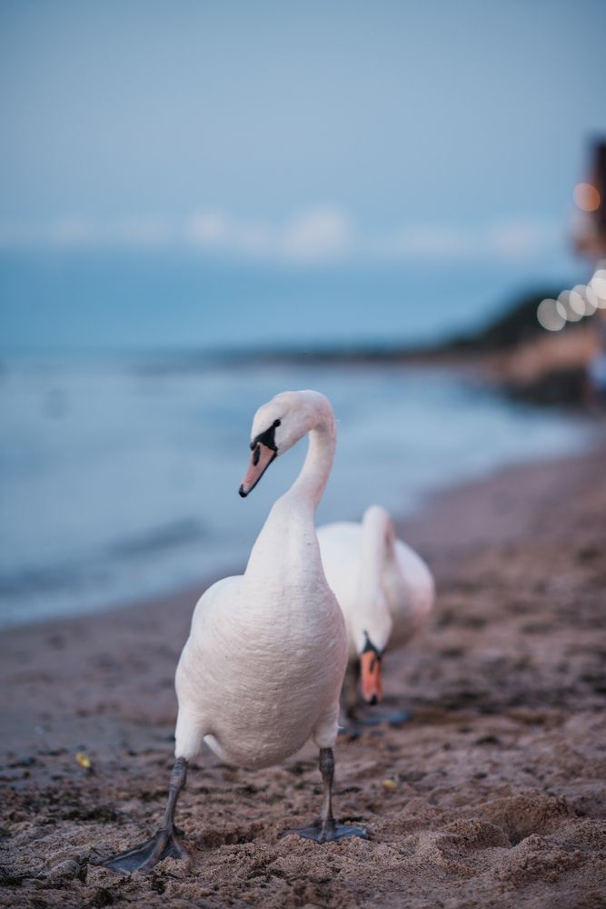 Photograph by Наталья Эндерс