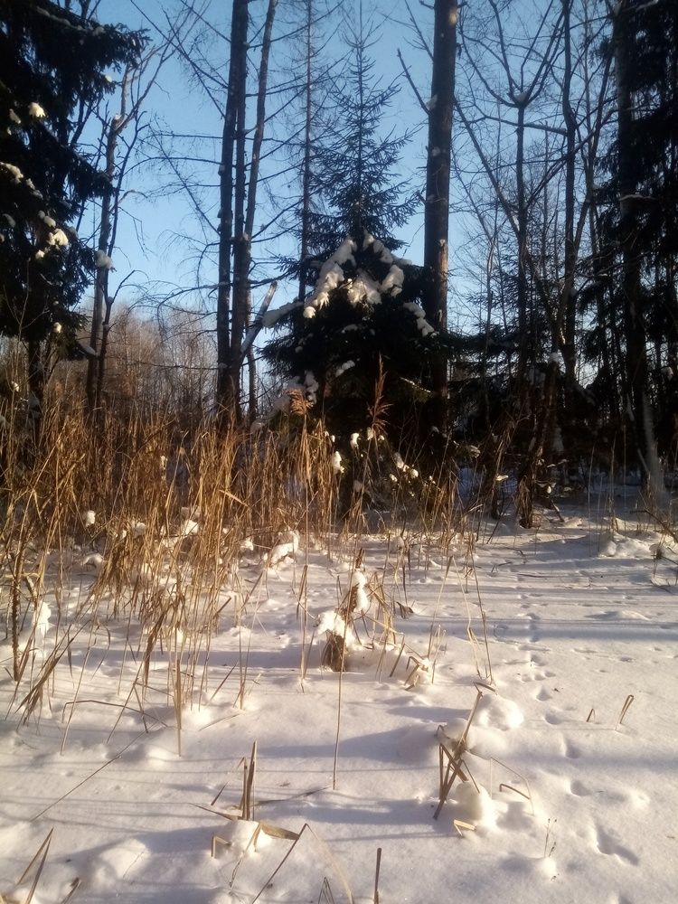 Photograph by Анна-Лаймуте Милошевич