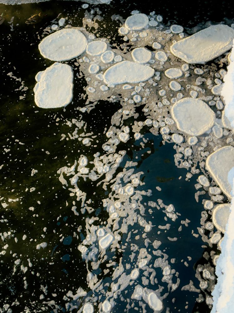 Photograph by Elizabeth Barkovskaya