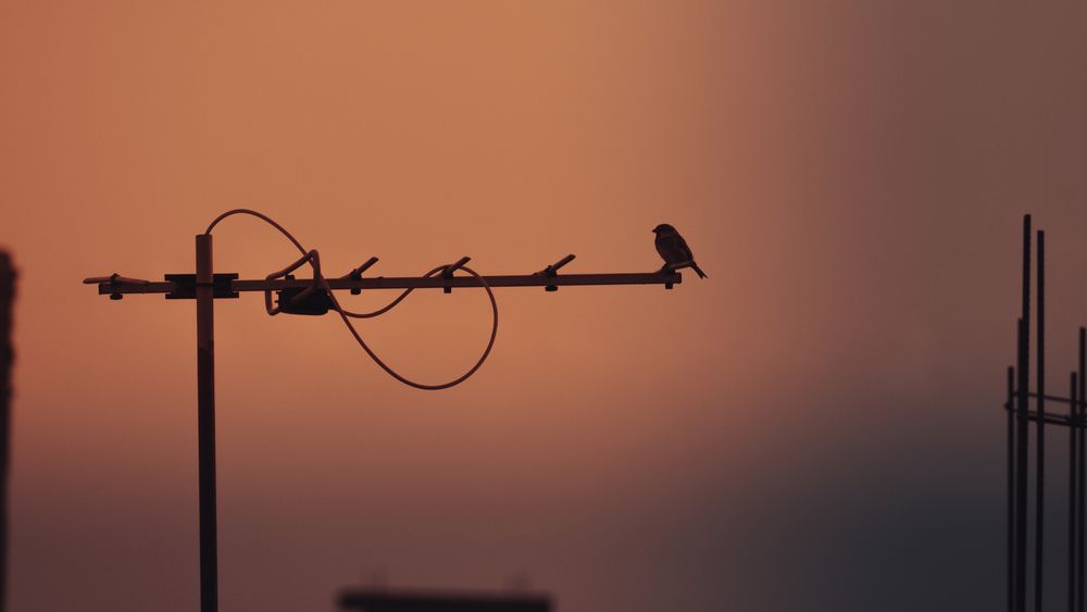 Photograph by Mazen Abdennadher