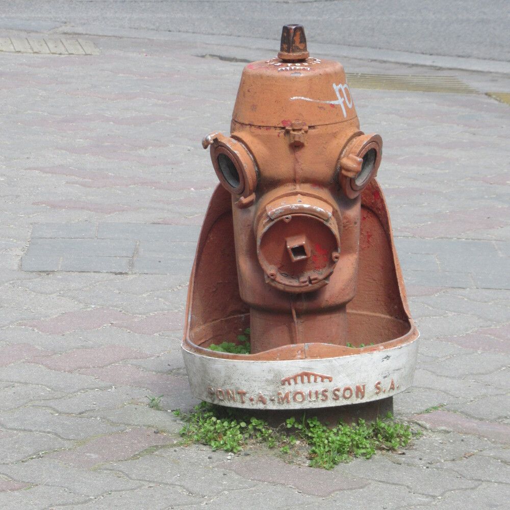 Photograph by Ирина Шведчикова