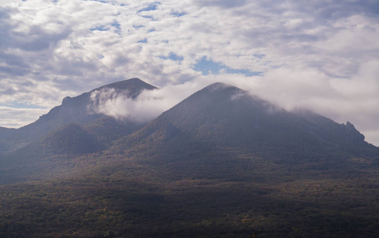 Photo #13137636