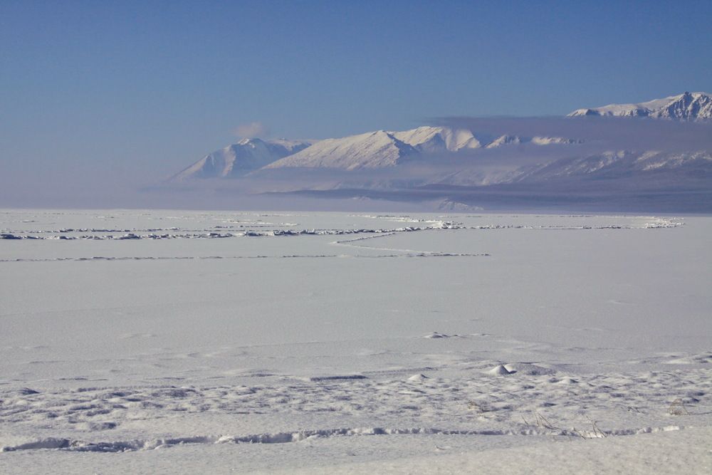 Photograph by Ирина Сушко