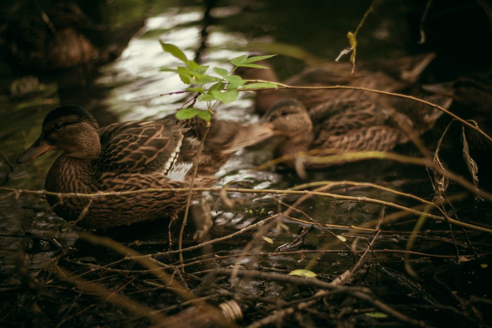 Photograph by Алексей Морозов