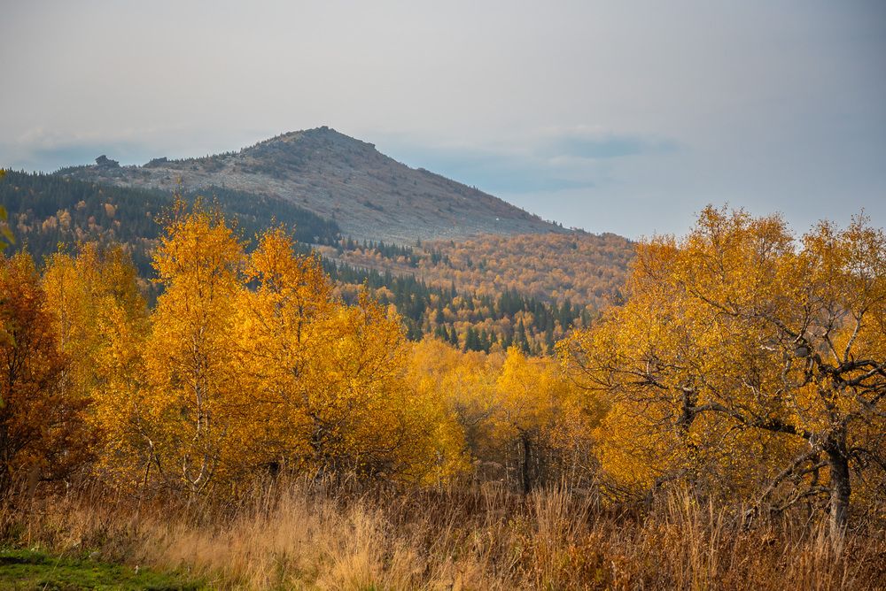 Photograph by Жданов Дмитрий
