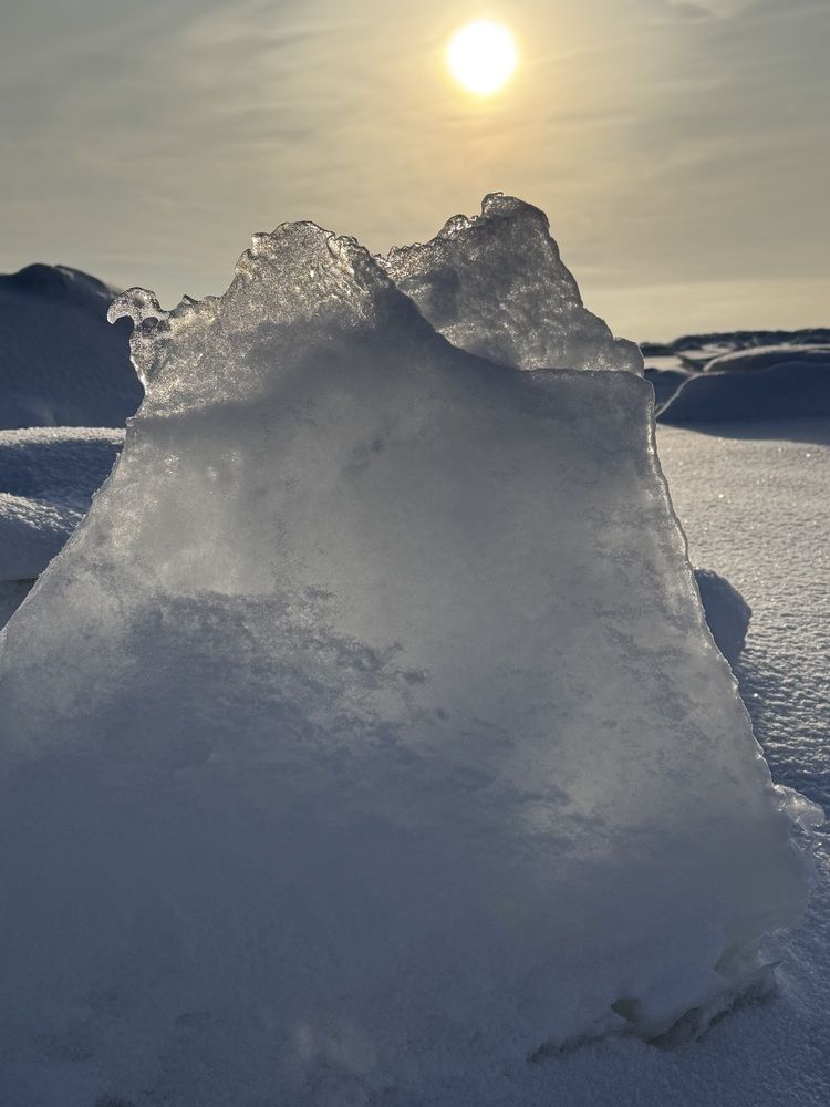 Photograph by Бондаренко Светлана